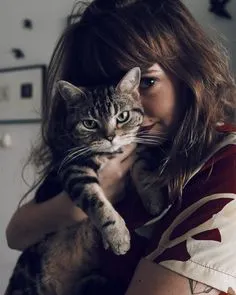 Alice princesa de Meow Town. Animals Beautiful, Cat People