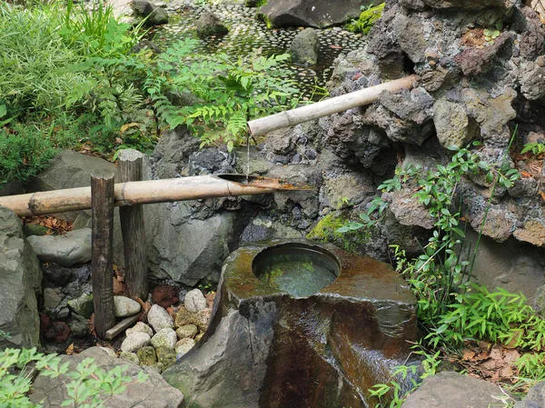 Содзу в японском саду